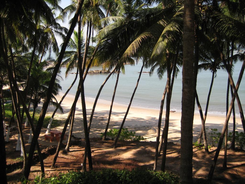 Chera Rocks Beach House Hotel Thottada Room photo